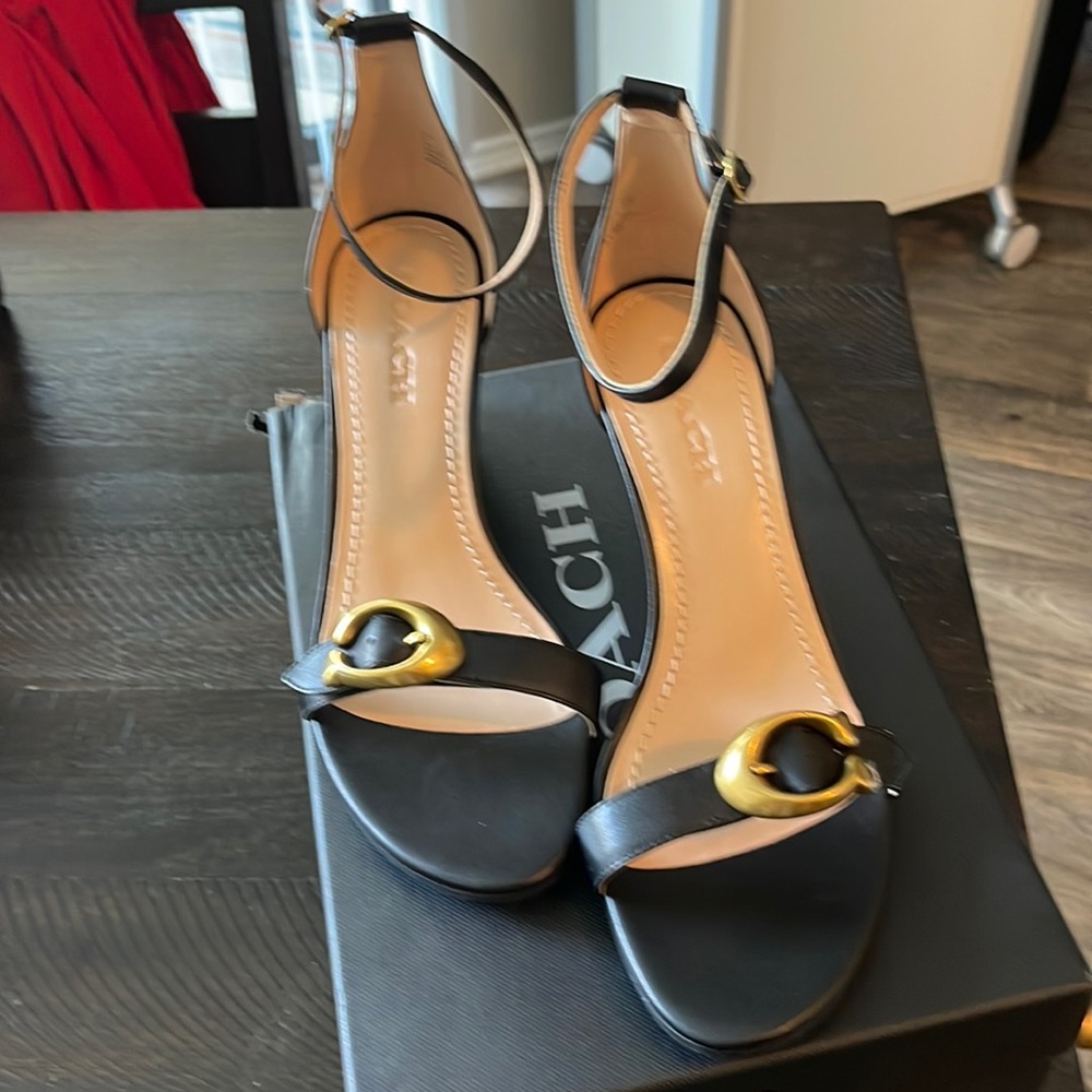 Coach Odetta Leather Ankle-strap Wedge Sandal